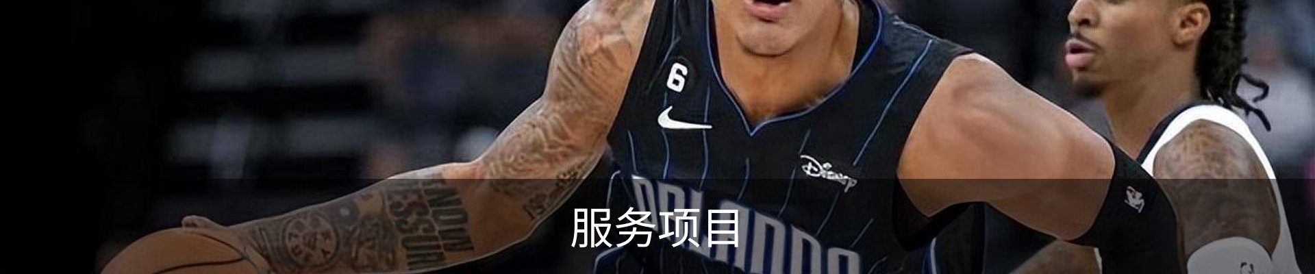 服务项目