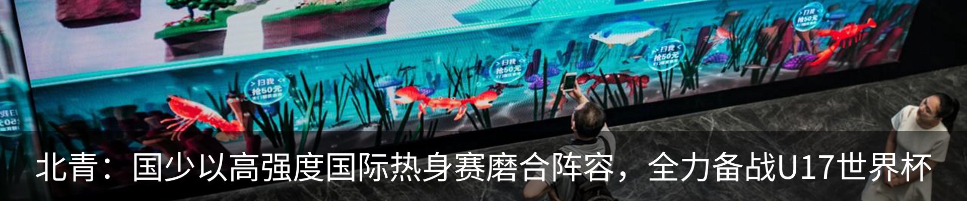 新闻动态