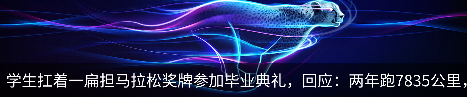 新闻动态