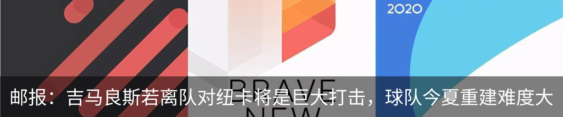 新闻动态